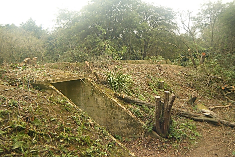 The site during clearance - 2012